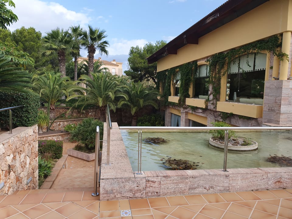 Ausblick Zafiro Mallorca