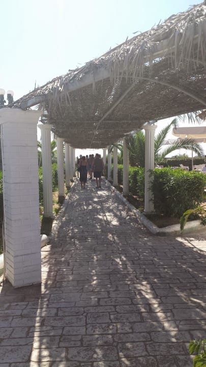 Weg zum Strand am Pool 3 vorbei Sandy Beach Resort