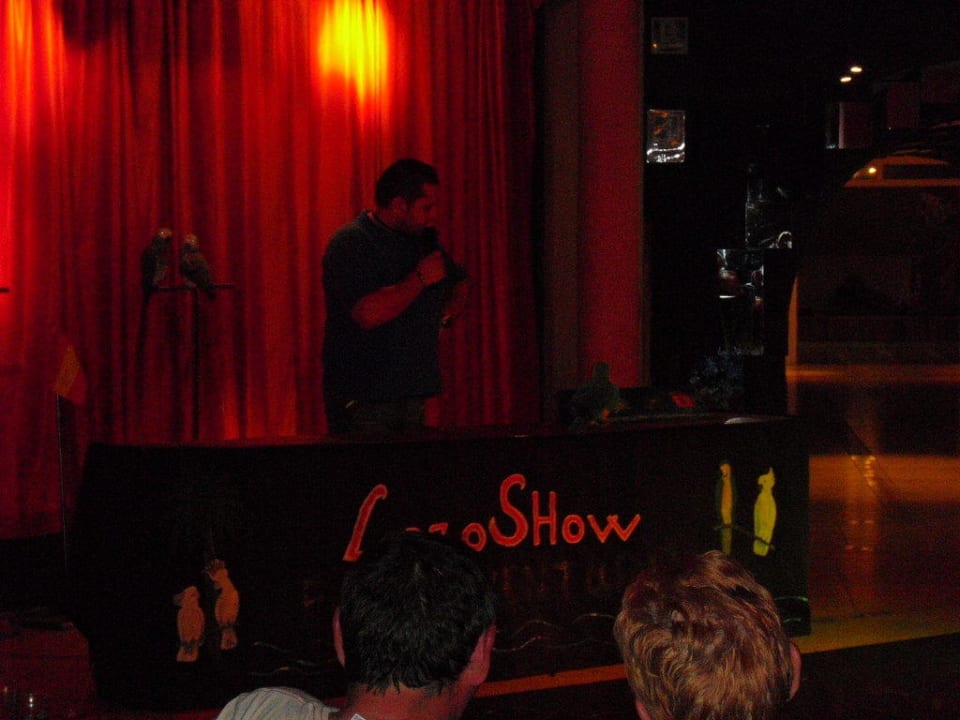 Animation - Papageienshow SBH Monica Beach Resort