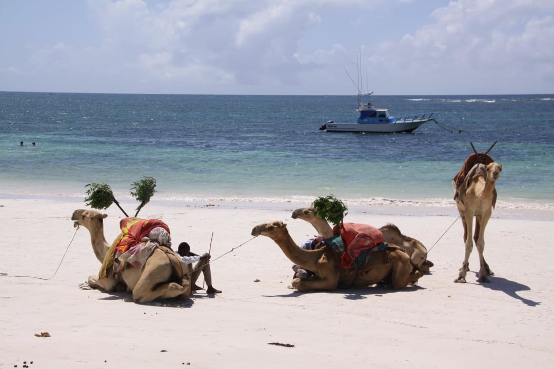 Tauchen und Fischen am Strand möglich Hotel Southern Palms Beach Resort
