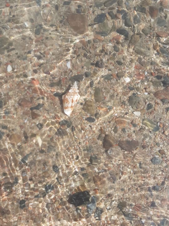 Strand Mövenpick Resort & Spa El Gouna