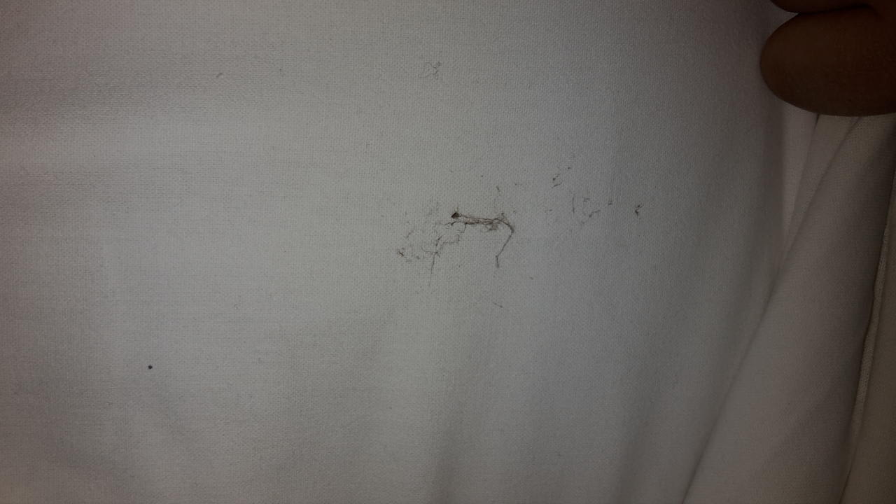 Dreck im Bett  Effect Grand Victoria Hotel