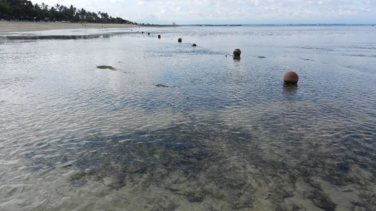 Ebbe The Laguna A Luxury Collection Resort & Spa