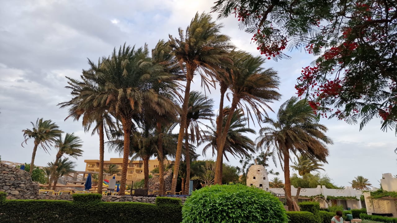 Gartenanlage Shams Safaga Resort