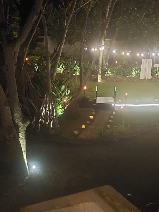 Gartenanlage Club Hotel Dolphin