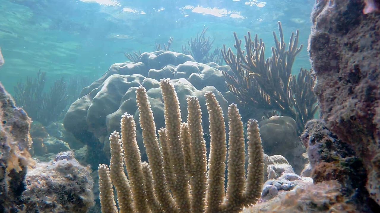 Sport & Freizeit Akumal Bay Beach & Wellness Resort