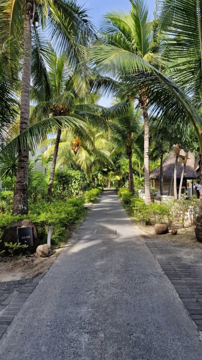 Gartenanlage Paradis Beachcomber Golf Resort & Spa