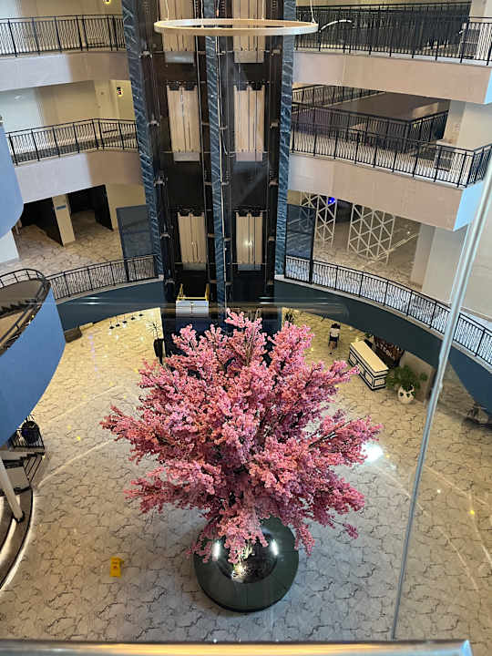 Lobby Dream Water World