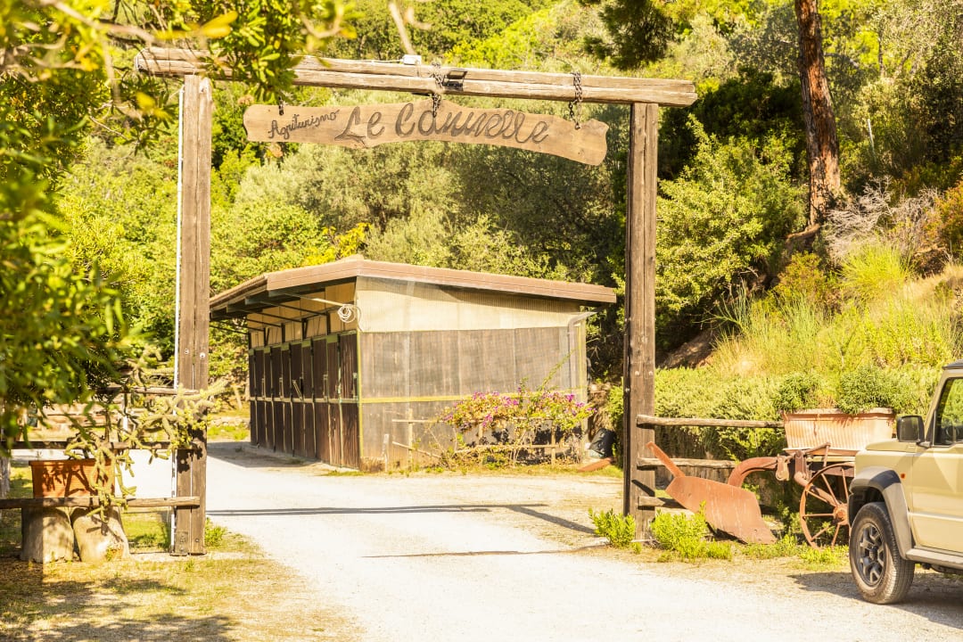 Sonstiges Club Le Cannelle