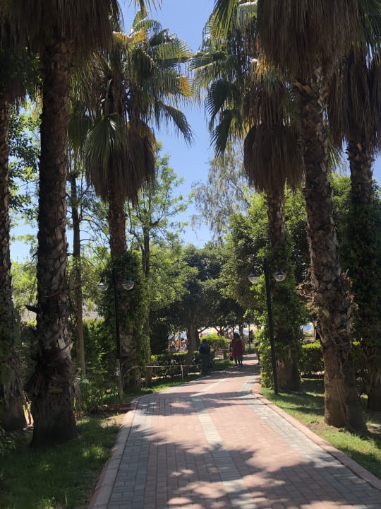 Gartenanlage Hotel Gardenia Beach