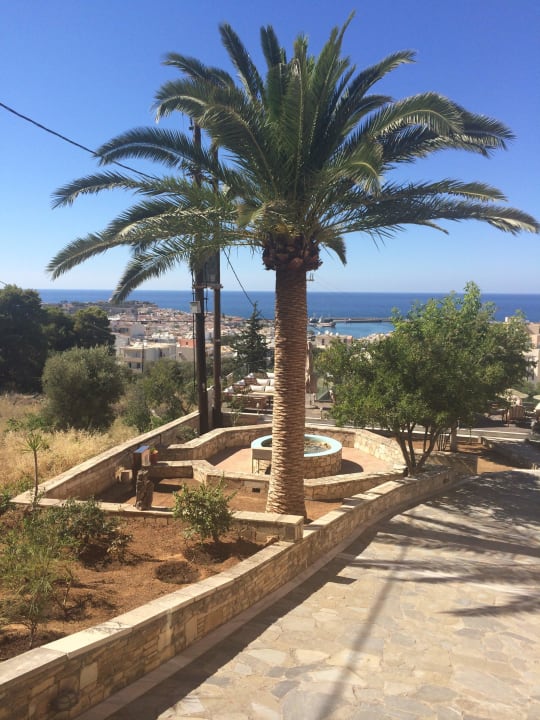 Gepflegt und Top mit Blick zum Meer Hotel Forest Park