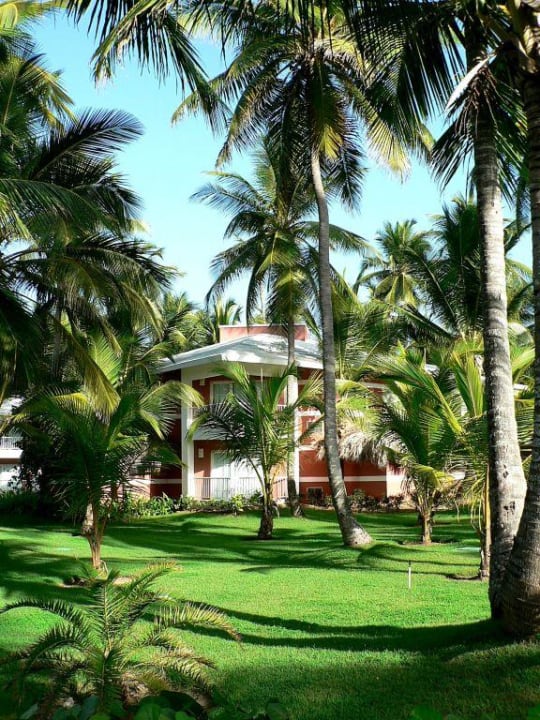 Kein Bungalow ist höher als die Palmen... Grand Palladium Select Bávaro Resort & Spa