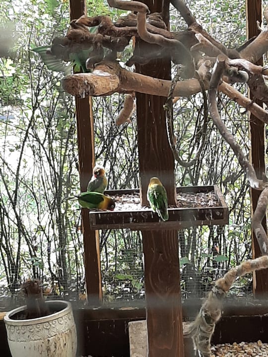 Sport & Freizeit Kurhotel Pawlik - Aquaforum