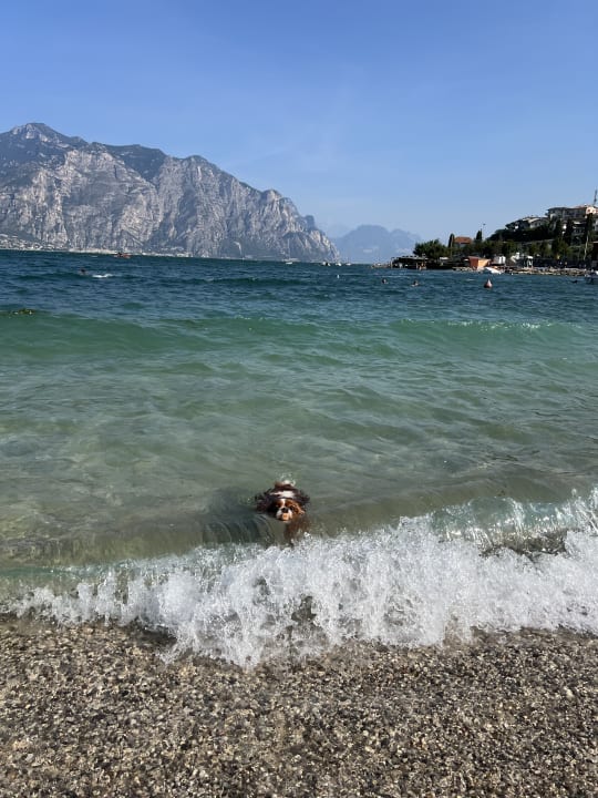 Zimmer Hotel Castello Lake Front