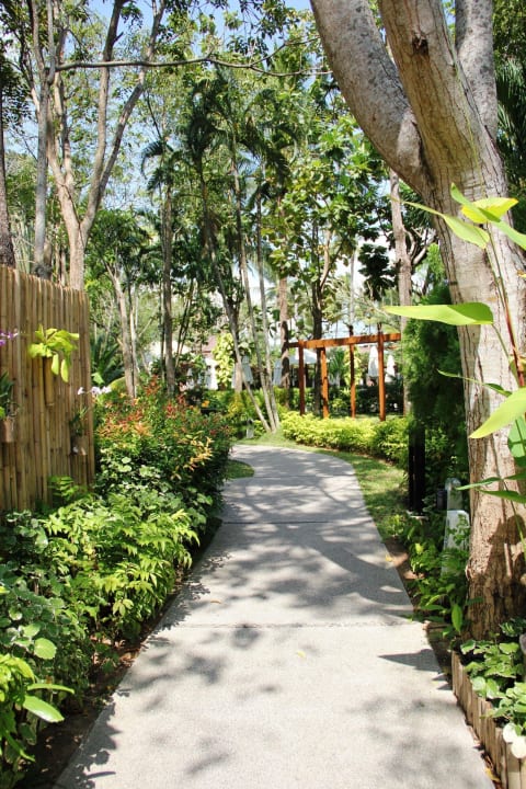 Tropische Gartenanlage NH Collection Samui Peace Resort