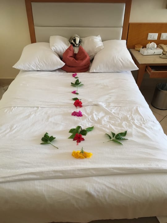 Zimmer Pickalbatros Palace Resort