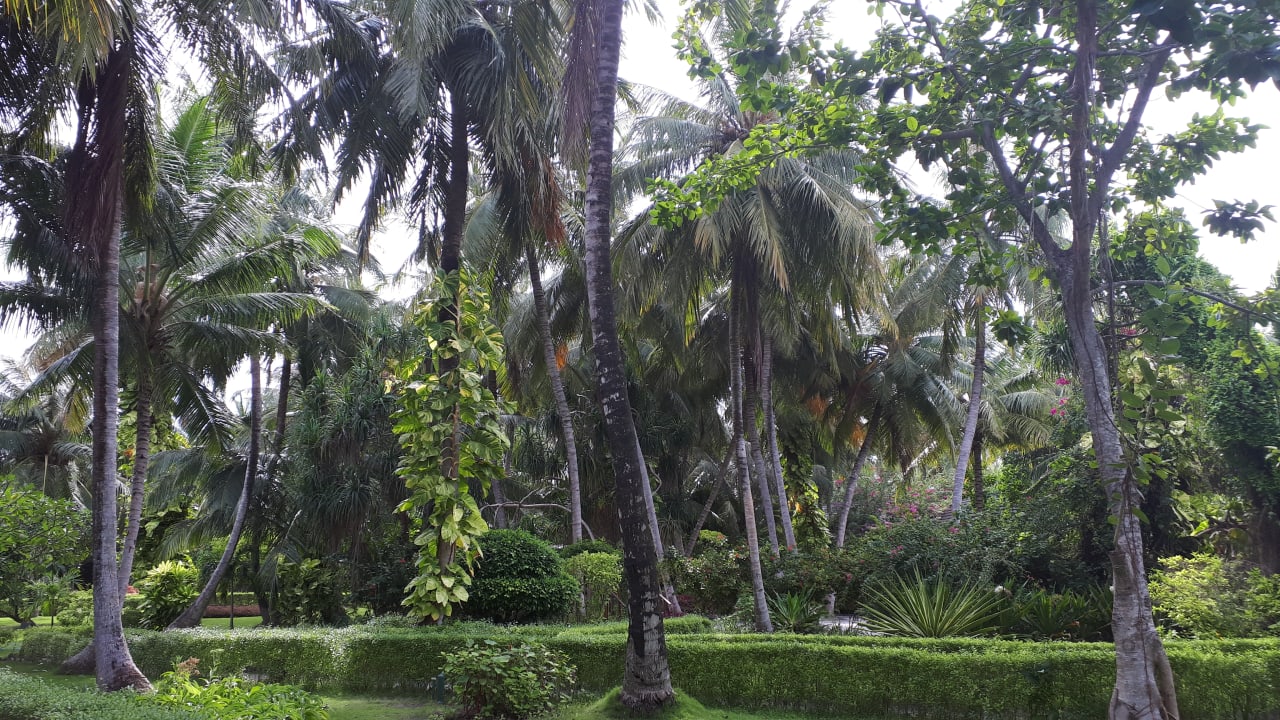 Gartenanlage Adaaran Select Meedhupparu Island Resort - Premium All Inclusive