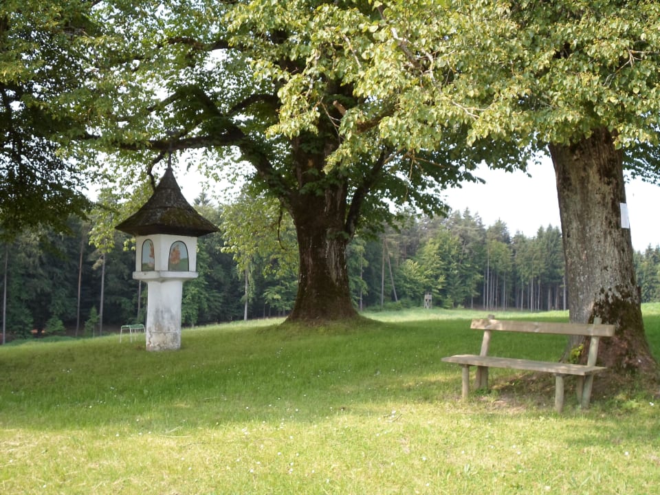 Ein romantisches Plätzchen oberhalb des Bauernhofe Lindenhof Velden