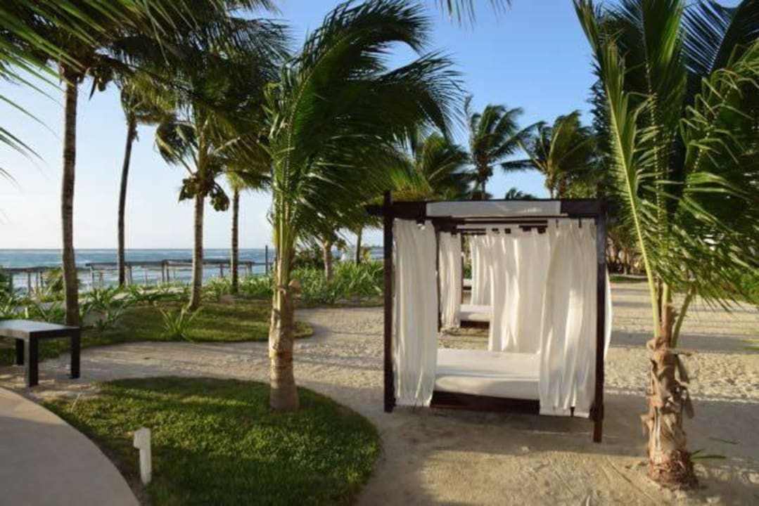 Poolbetten Akumal Bay Beach & Wellness Resort