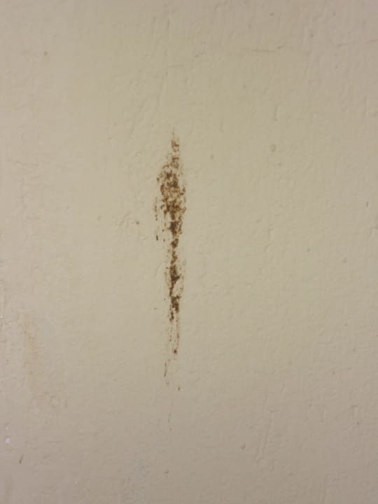 Wand im Zimmer  Shams Safaga Resort