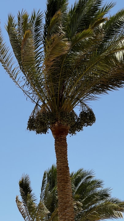 Strand Golden Beach Resort