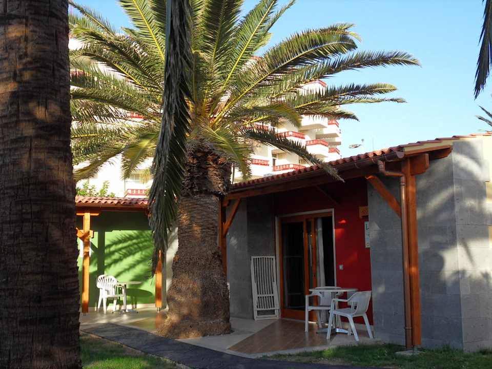 Terrasse mit Schattenbaum, Studio HL Miraflor Suites Hotel