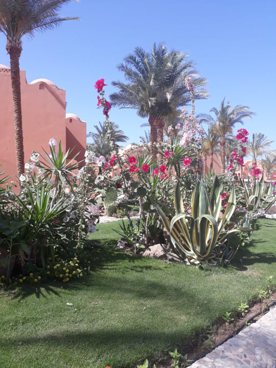 Gartenanlage Jaz Makadi Oasis Resort