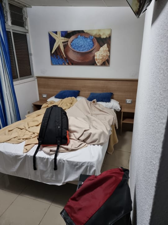 Zimmer Globales Acuario