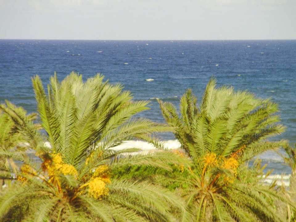 Wunderschöner Ausblick vom Balkon Mahdia Beach & Aquapark