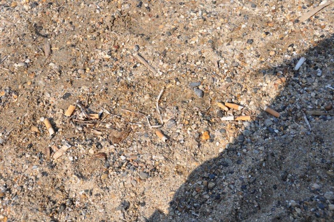 Hotelstrand (grauslich) Hotel Albatros