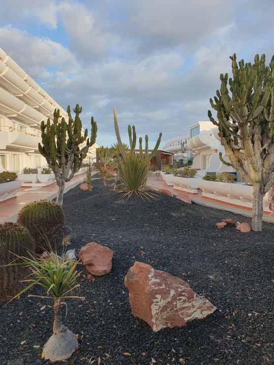Gartenanlage allsun App.-Hotel Barlovento