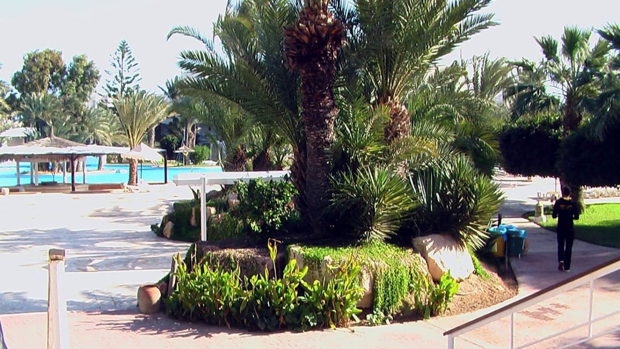 Gartenanlage Hotel Djerba Resort