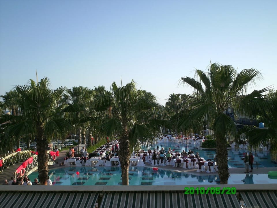 Galaabend Trendy Palm Beach (Adults Only, 16+)