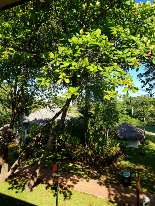 Ausblick Marien Puerto Plata