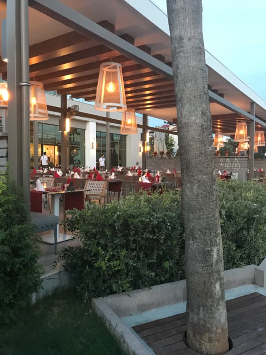 Restaurant Acanthus Cennet Barut Collection