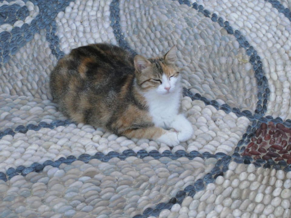 Mitzie Sunis Kumköy Beach Resort Hotel & Spa