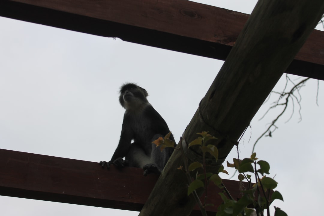 Sonstiges Neptune Village Beach Resort & Spa