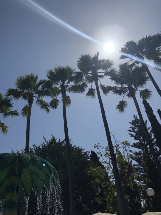 Gartenanlage Hipotels Mediterraneo Club