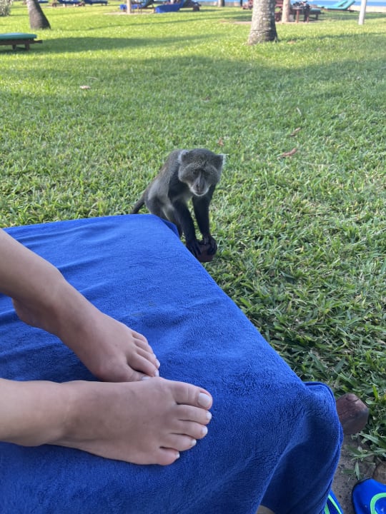 Sonstiges Neptune Paradise Beach Resort & Spa