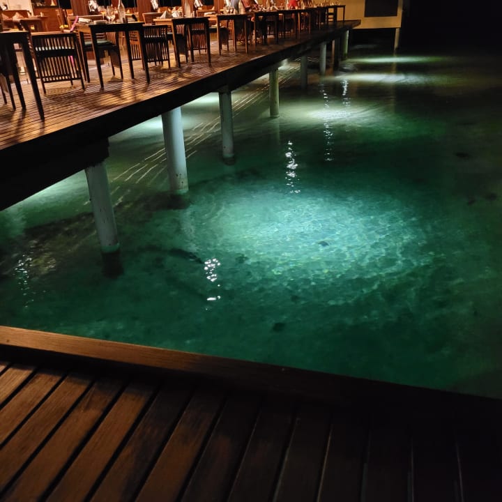 Gastro Summer Island Maldives