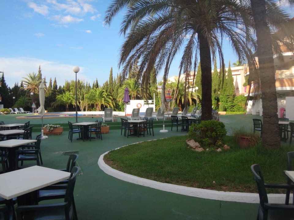 Bar przy recepcji BJ Apartamentos Club Sa Coma