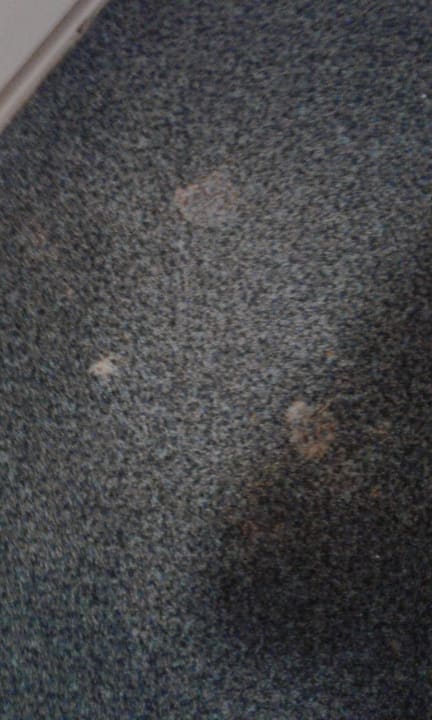 Flecken auf dem Boden vor dem badezimmer IntercityHotel Magdeburg