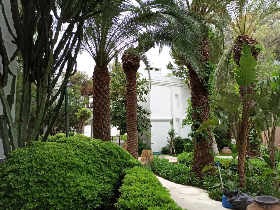 Gartenanlage Very Chic Bodrum Adult Only