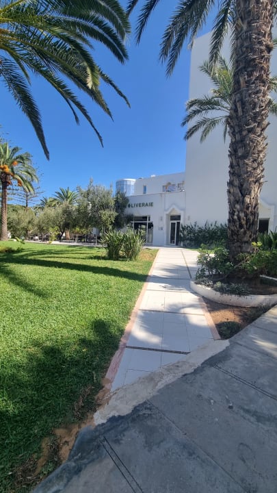 Gartenanlage Hotel JAZ Tour Khalef