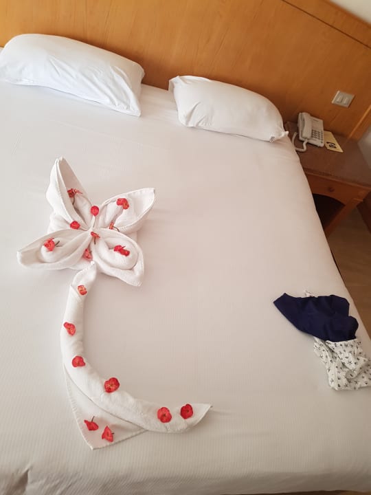 Zimmer Beach Albatros Resort