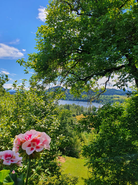 Ausblick Pension Seesicht