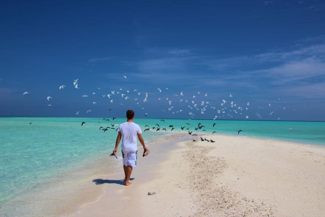 Am Ende der Sandbank Kuramathi Maldives