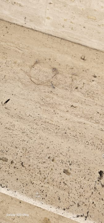 Pool Smart Holiday Hotel