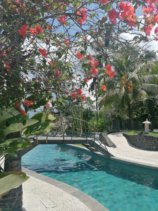 Pool Puri Dajuma Beach Eco-Resort & Spa