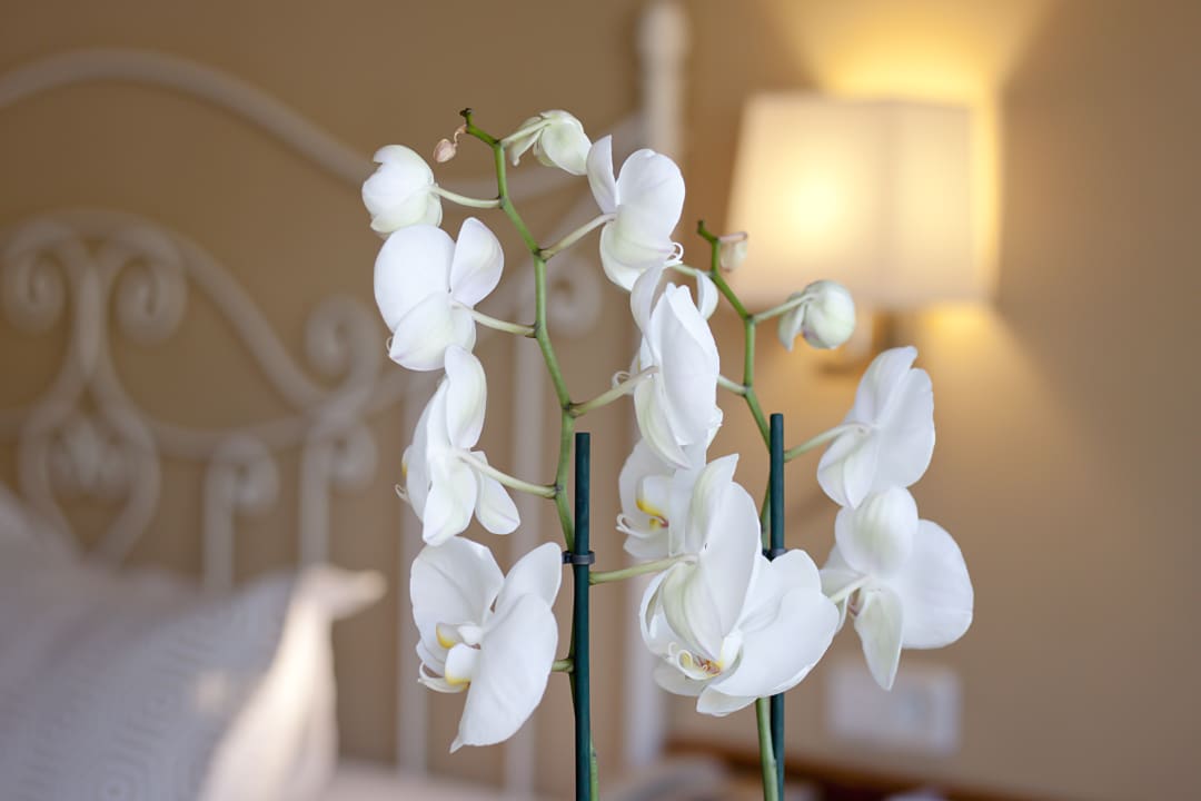 Zimmer Mon Port Hotel & Spa